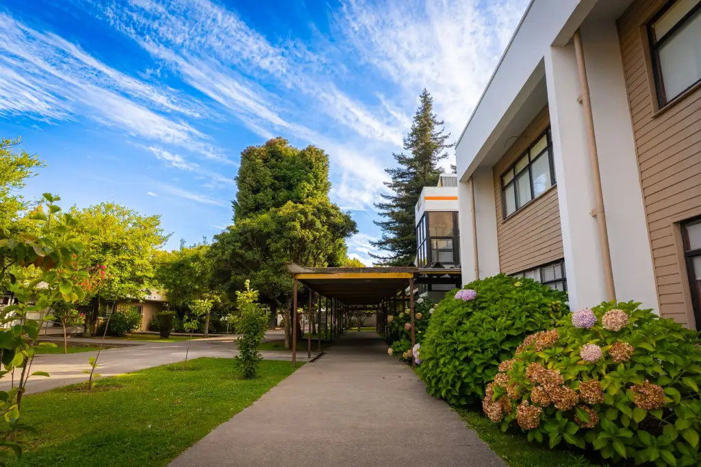 上海聚亦福家庭清洁用品选购指南：柔顺剂与洗衣粉搭配建议