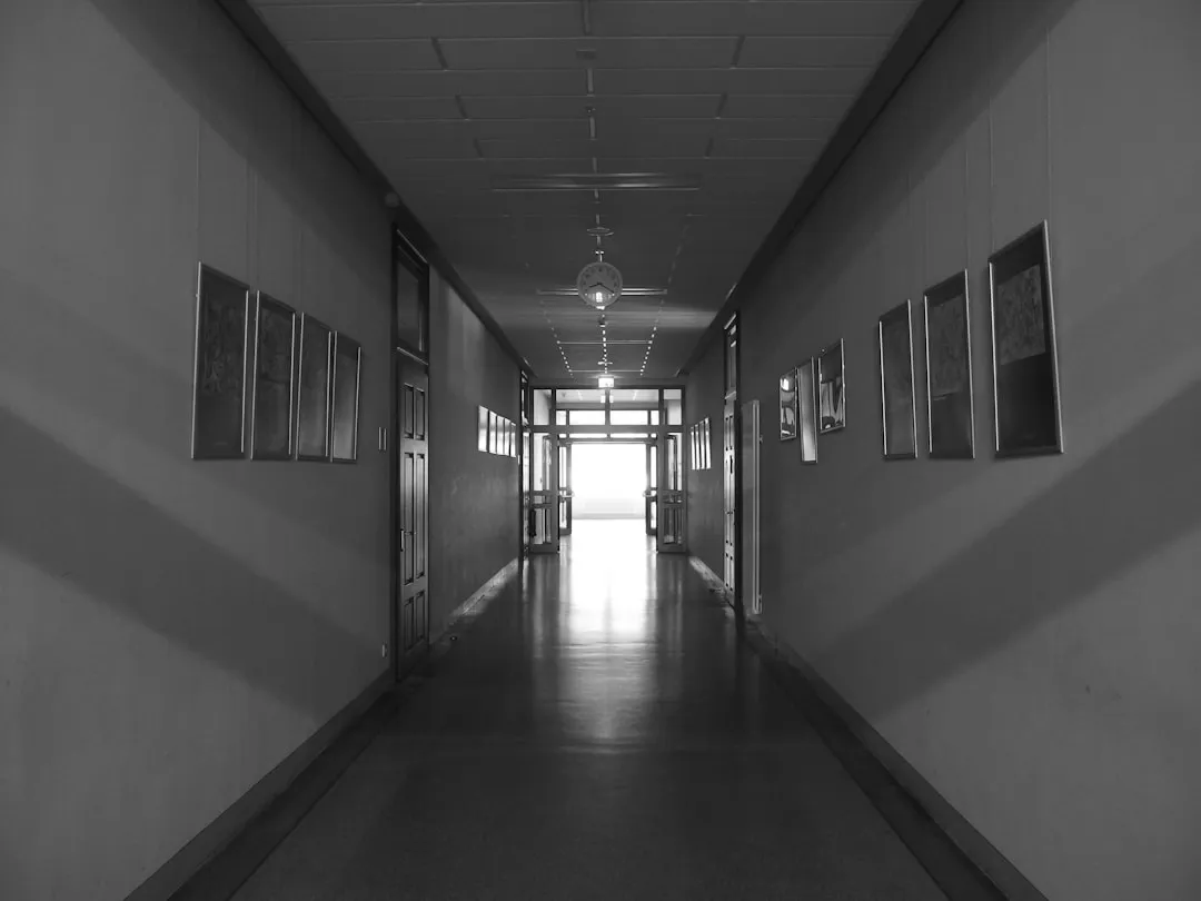 现代家庭清洁技术解析：洗衣粉与柔顺剂的科学配比研究